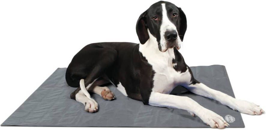 Scruffs & Tramps Honden koelmat grijs 2719 online kopen