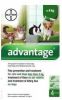 Advantage 2 x 4 Pipetten Â, ®, 40 voor honden van minder dan 4 kg Dubbelpak online kopen