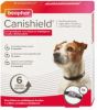 Beaphar Canishield Parasietenband Hond Anti vlooien en tekenmiddel per stuk Klein/Middelgroot online kopen