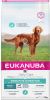 Eukanuba Daily Care Sensitive Digestion Adult All Breed Kip 2, 3 kg online kopen
