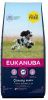 Eukanuba 15% korting! Caring Senior Large Breed Kip Hondenvoer Puppy Medium Breed Kip 15 kg online kopen