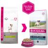 Eukanuba 3x2kg Jack Russell Terri&#xEB, r Breed Specific Hondenvoer online kopen