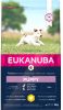 Eukanuba Puppy Small Breed Kip Hondenvoer Dubbelpak 2 x 3 kg online kopen