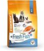 Fokker 3x Cat Fresh Fish Kattenvoer Verse Zalm 2, 5 kg online kopen