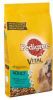 Pedigree Adult Lam & Groenten hondenvoer 10 kg + Good Chew snack gratis online kopen