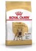 Royal Canin French Bulldog Adult Hondenvoer 3 kg online kopen