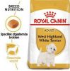 Royal Canin Breed 2x3kg West Highland White Terrier Adult Hondenvoer online kopen