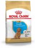 Royal Canin Poodle Puppy Hondenvoer 3 kg online kopen