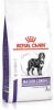 Royal Canin Veterinary Diet Large Dog Senior Consult Mature Hondenvoer 14 kg online kopen