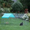 Kerbl Huisdierenren met vluchthek 220x103x103 cm chroom online kopen