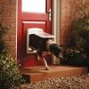PetSafe Huisdierenluik in 2 richtingen 740 Medium 26, 7 x 22, 8 cm Wit 5020 online kopen