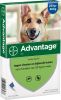 Advantage 2 x 4 Pipetten &#xC2, &#xAE, 400 voor honden van 25 kg en meer Dubbelpak online kopen