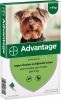 Advantage 2 x 4 Pipetten Â, ®, 40 voor honden van minder dan 4 kg Dubbelpak online kopen