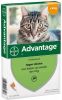 Advantage 2 x 4 Pipetten Â, ®, 40 voor katten van minder dan 4 kg Dubbelpak online kopen