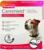 Beaphar Canishield Parasietenband Hond Anti vlooien en tekenmiddel per stuk Klein/Middelgroot online kopen
