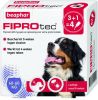 Beaphar Fiprotec Dog 3+1 pip Anti vlooien en tekenmiddel 40 60kg Vanaf 12 Maanden online kopen