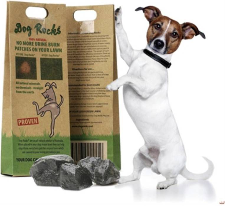 Dog Rocks Tegen Urine Plekken Gazonbescherming 200 g Bruin Groen online kopen