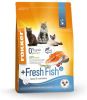 Fokker 3x Cat Fresh Fish Kattenvoer Verse Zalm 2, 5 kg online kopen
