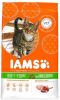 Iams 10% korting! Vitality droogvoer 10 kg Adult Sterilised Chicken online kopen
