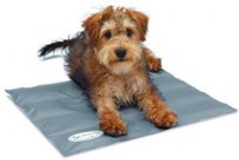 Scruffs & Tramps Scruffs & Tramps Honden koelmat maat M grijs 2717 online kopen