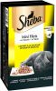 Sheba Mini Filets in Saus Gevogelte Selectie 8 x 85 gr 2 doosjes(16 kuipjes ) online kopen