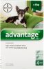 Advantage 2 x 4 Pipetten Â, ®, 40 voor honden van minder dan 4 kg Dubbelpak online kopen