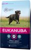 Eukanuba 15% korting! Caring Senior Large Breed Kip Hondenvoer Adult Large Breed Kip 15 kg online kopen