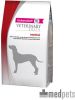 Eukanuba Veterinary Diet s Adult Intestinal Hondenvoer Dubbelpak 2 x 12 kg online kopen