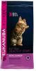 Eukanuba Healthy Start Kitten Kattenvoer Voordeelpakket 3 x 2 kg online kopen