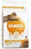 Iams 10% korting! Vitality droogvoer 10 kg Adult Hairball Control online kopen