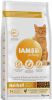 Iams 10% korting! Vitality droogvoer 10 kg Adult Hairball Control online kopen