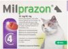 Milprazon Ontwormingsmiddel kat en kitten(0, 5 2 kg)2 x 4 tabletten online kopen