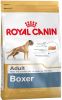 Royal Canin Boxer Adult hondenvoer 2 x (12 + 2 kg gratis) online kopen