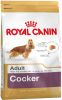 Royal Canin Breed 2x12kg Cocker Spaniel Adult Hondenvoer online kopen