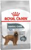 Royal Canin Dental Care Maxi Hondenvoer 3 kg online kopen