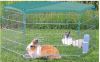 Trixie Beschermnet Voor Konijnenren Met Zonwering Dierenverblijf 80 cm 120 g Groen online kopen