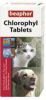 Beaphar Chlorophyl Tabletten voor hond en kat 2 x 30 tabletten online kopen