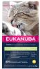 Eukanuba Hairball Control Adult Kattenvoer Voordeelpakket 3 x 2 kg online kopen