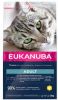 Eukanuba Top Condition 1+ Adult Kattenvoer Voordeelpakket 3 x 2 kg online kopen