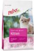 Prins VitalCare Kitten kattenvoer 1, 5 kg + gratis bewaarblik online kopen