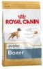 Royal Canin Breed 2x12kg Boxer Puppy Hondenvoer online kopen