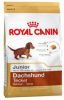 Royal Canin Puppy Dachshund(Teckel)hondenvoer 3 x 1, 5 kg online kopen
