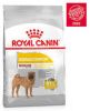 Royal Canin Dermacomfort Medium Hondenvoer 12 kg online kopen