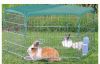 Trixie Beschermnet Voor Konijnenren Met Zonwering Dierenverblijf 80 cm 120 g Groen online kopen