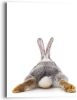 Reinders! Artprint konijn rabbit haas staart relax(1 stuk ) online kopen