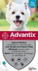 Advantix 10% korting! ®, spot On Solution voor Honden Voor Honden 10 kg 25 kg (6 Pipetten ) online kopen