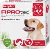Beaphar Fiprotec Dog 3+1 pip Anti vlooien en tekenmiddel 20 40kg Vanaf 12 Maanden online kopen