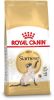 Royal Canin Breed 2x10kg Siamese Adult Kattenvoer online kopen