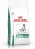 Royal Canin Veterinary Diet Diabetic Diet Hondenvoer 1.5 kg online kopen