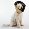All Four Paws E halsband Comfy Cone M Lang 30 Cm Tan online kopen